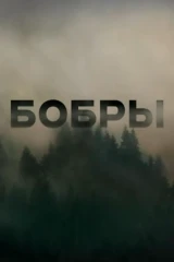 Бобры