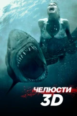 Челюсти 3D