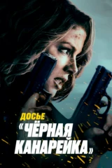 Досье «Чёрная канарейка»