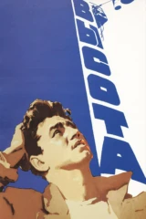 Высота