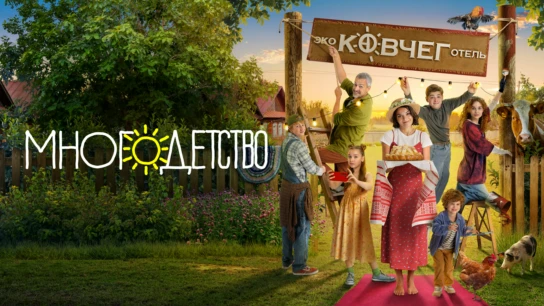 Многодетство