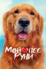 Мой пес Руни