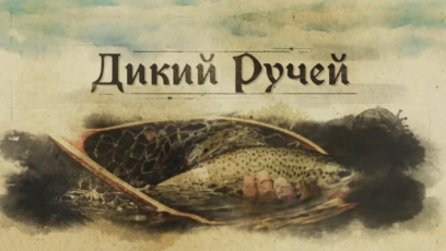 Секретный ручей в Подмосковье