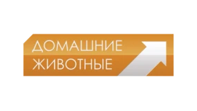 Домашние животные