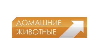 Домашние животные