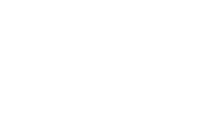 BRIDGE CLASSIC