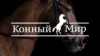 Конный мир HD