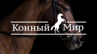 Конный мир HD