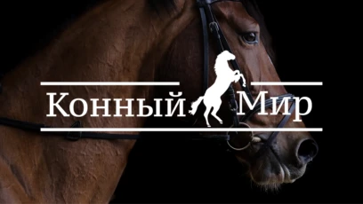 Конный мир HD