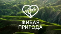 Живая природа HD