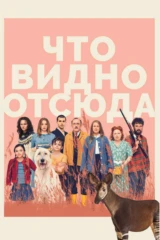 Что видно отсюда