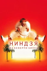 Ниндзя из Беверли-Хиллз