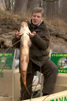 Осенняя рыбалка на окуня на Нижней Волге