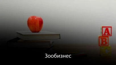 Зоогостиницы