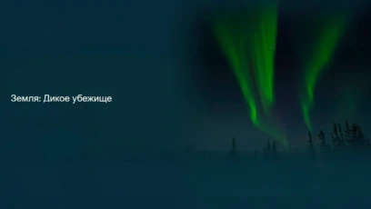Загружаем solarsystemscope