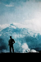 Մի խելագարի պատմություն