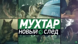 Дядюшкино кольцо