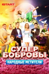 СуперБобровы. Народные мстители