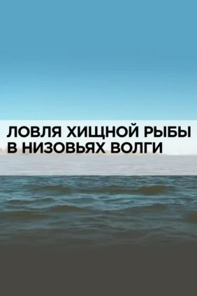 Ловля хищной рыбы в низовьях Волги