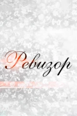 Ревизор