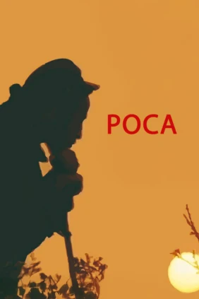Роса